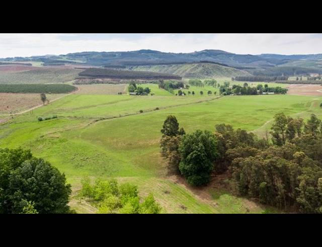 FARM FOR SALE IN LIDGETTON